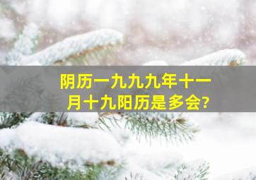 阴历一九九九年十一月十九阳历是多会?