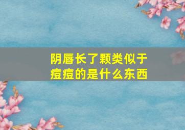 阴唇长了颗类似于痘痘的是什么东西