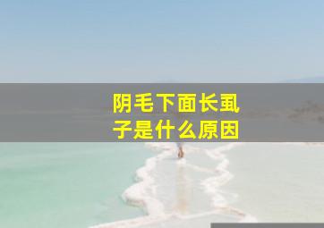 阴毛下面长虱子是什么原因