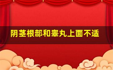 阴茎根部和睾丸上面不适