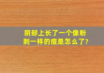 阴部上长了一个像粉刺一样的痘,是怎么了?