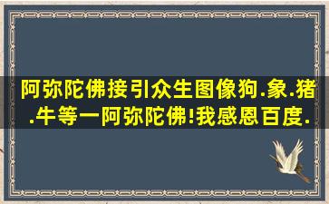 阿弥陀佛接引众生图像(狗.象.猪.牛等)一阿弥陀佛!我感恩百度.佛友.网友...