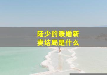 陆少的暖婚新妻结局是什么