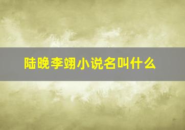 陆晚李翊小说名叫什么