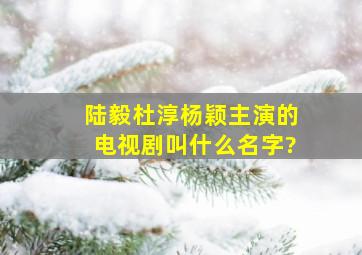 陆毅杜淳杨颖主演的电视剧叫什么名字?