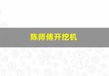 陈师傅开挖机