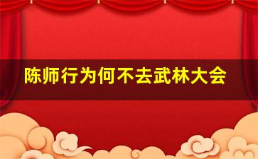 陈师行为何不去武林大会