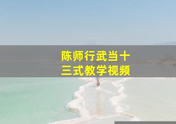 陈师行武当十三式教学视频