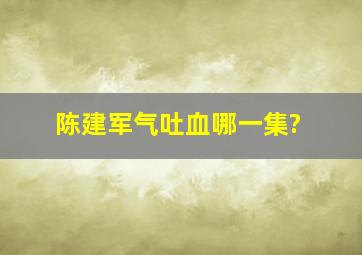 陈建军气吐血哪一集?