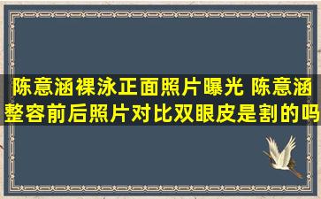 陈意涵裸泳正面照片曝光 陈意涵整容前后照片对比双眼皮是割的吗