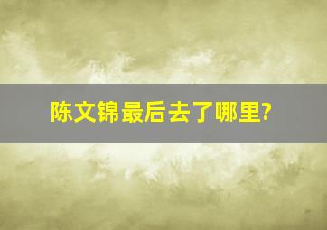 陈文锦最后去了哪里?