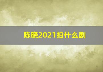 陈晓2021拍什么剧(