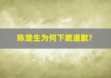 陈楚生为何下跪道歉?