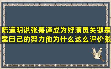 陈道明说张嘉译成为好演员关键是靠自己的努力,他为什么这么评价张...