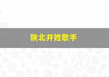 陕北井姓歌手