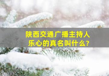 陕西交通广播主持人乐心的真名叫什么?