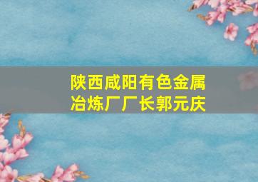 陕西咸阳有色金属冶炼厂厂长郭元庆