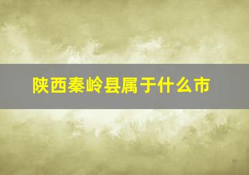 陕西秦岭县属于什么市(