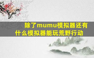 除了mumu模拟器还有什么模拟器能玩荒野行动(