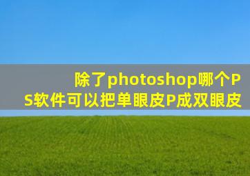 除了photoshop哪个PS软件可以把单眼皮P成双眼皮