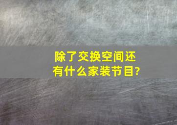 除了《交换空间》还有什么家装节目?