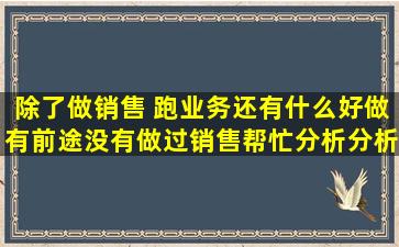 除了做销售 ,跑业务,还有什么好做有前途,没有做过销售。帮忙分析分析。