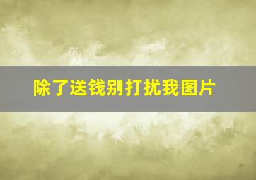 除了送钱别打扰我图片