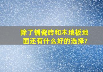 除了铺瓷砖和木地板,地面还有什么好的选择?