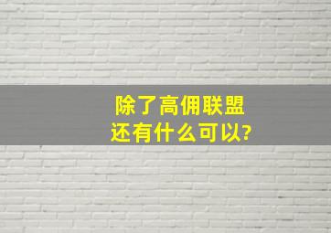 除了高佣联盟还有什么可以?