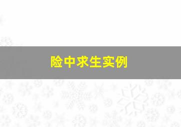 险中求生实例