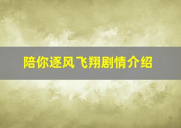 陪你逐风飞翔剧情介绍