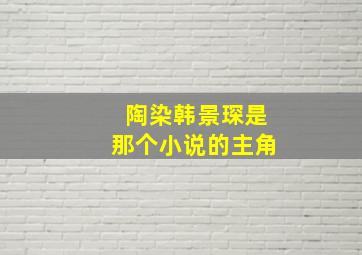 陶染韩景琛是那个小说的主角