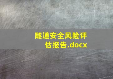 隧道安全风险评估报告.docx