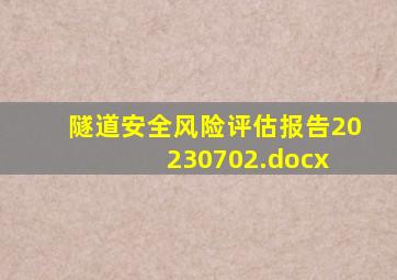 隧道安全风险评估报告20230702.docx 