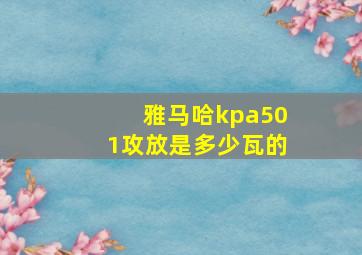 雅马哈kpa501攻放是多少瓦的。