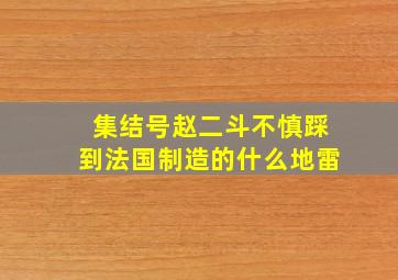 集结号赵二斗不慎踩到法国制造的什么地雷