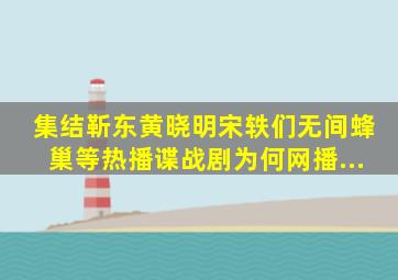 集结靳东、黄晓明、宋轶们,《无间》《蜂巢》等热播谍战剧为何网播...