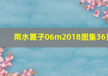 雨水篦子06m2018图集36页