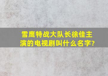 雪鹰特战大队长徐佳主演的电视剧叫什么名字?