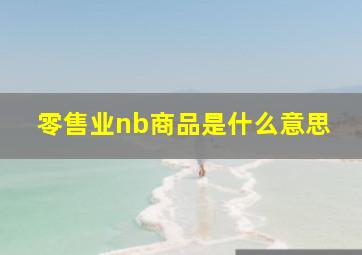 零售业nb商品是什么意思