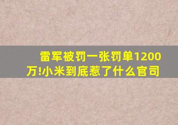 雷军被罚,一张罚单1200万!小米到底惹了什么官司