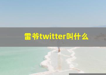 雷爷twitter叫什么