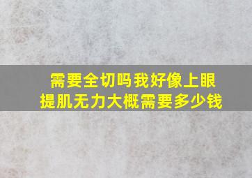 需要全切吗,我好像上眼提肌无力,大概需要多少钱