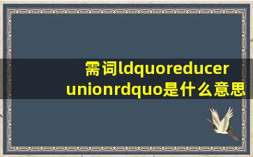 需词“reducer union”是什么意思及翻译,中文是什么