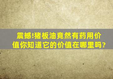 震撼!猪板油竟然有药用价值,你知道它的价值在哪里吗?