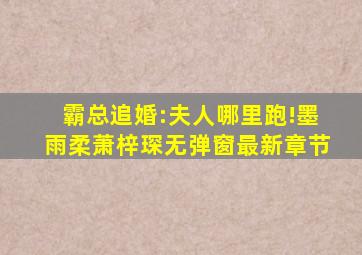 霸总追婚:夫人,哪里跑!墨雨柔萧梓琛无弹窗最新章节