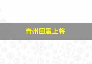 青州田震上将