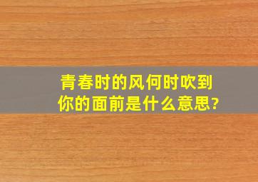 青春时的风何时吹到你的面前是什么意思?