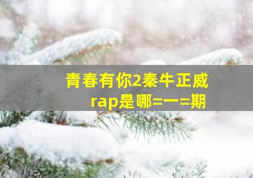 青春有你2秦牛正威rap是哪=一=期