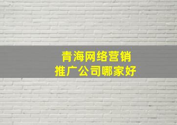 青海网络营销推广公司哪家好